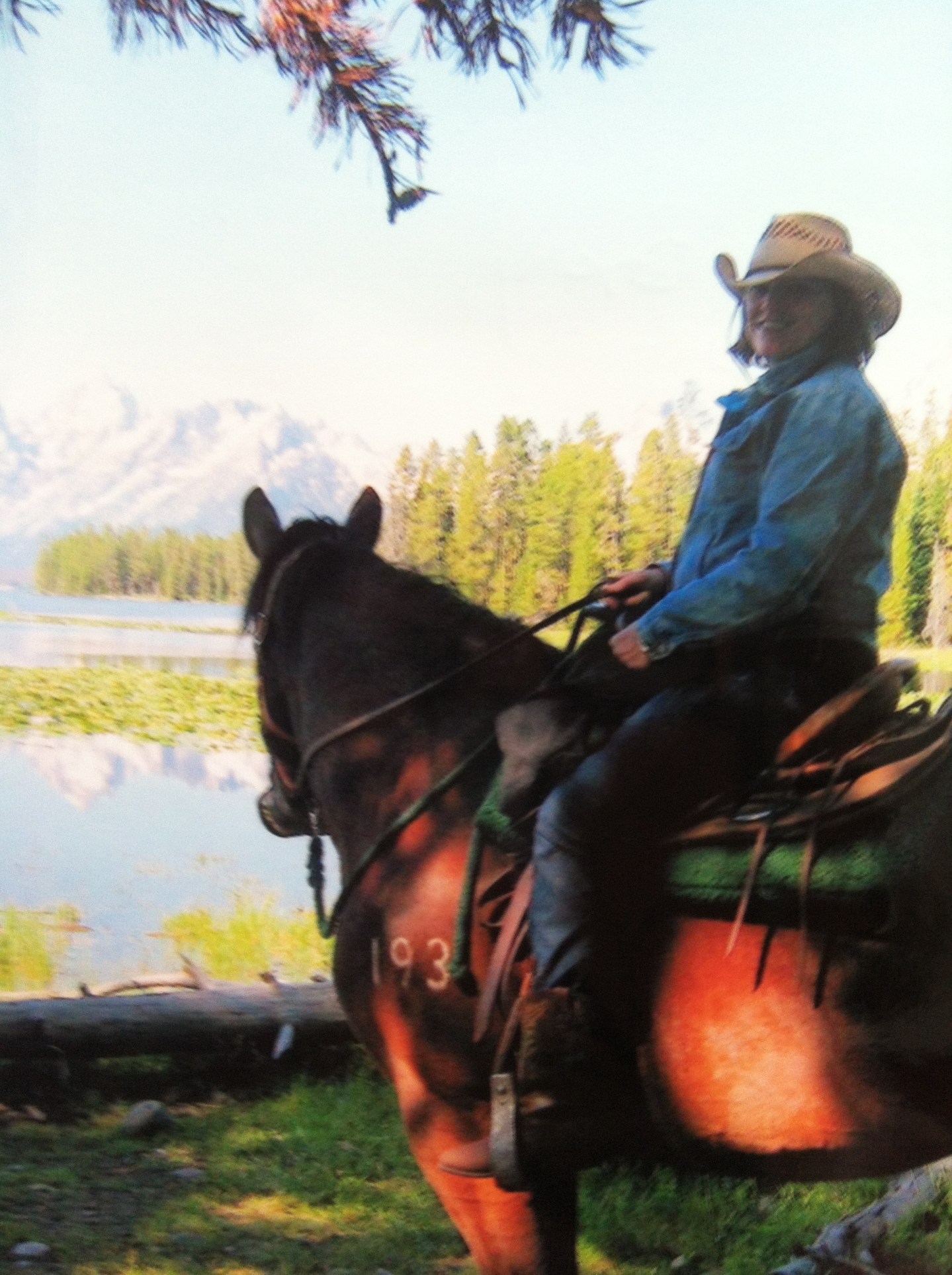 Family Ties: Someone’s Favorite | Connie Rosser Riddle