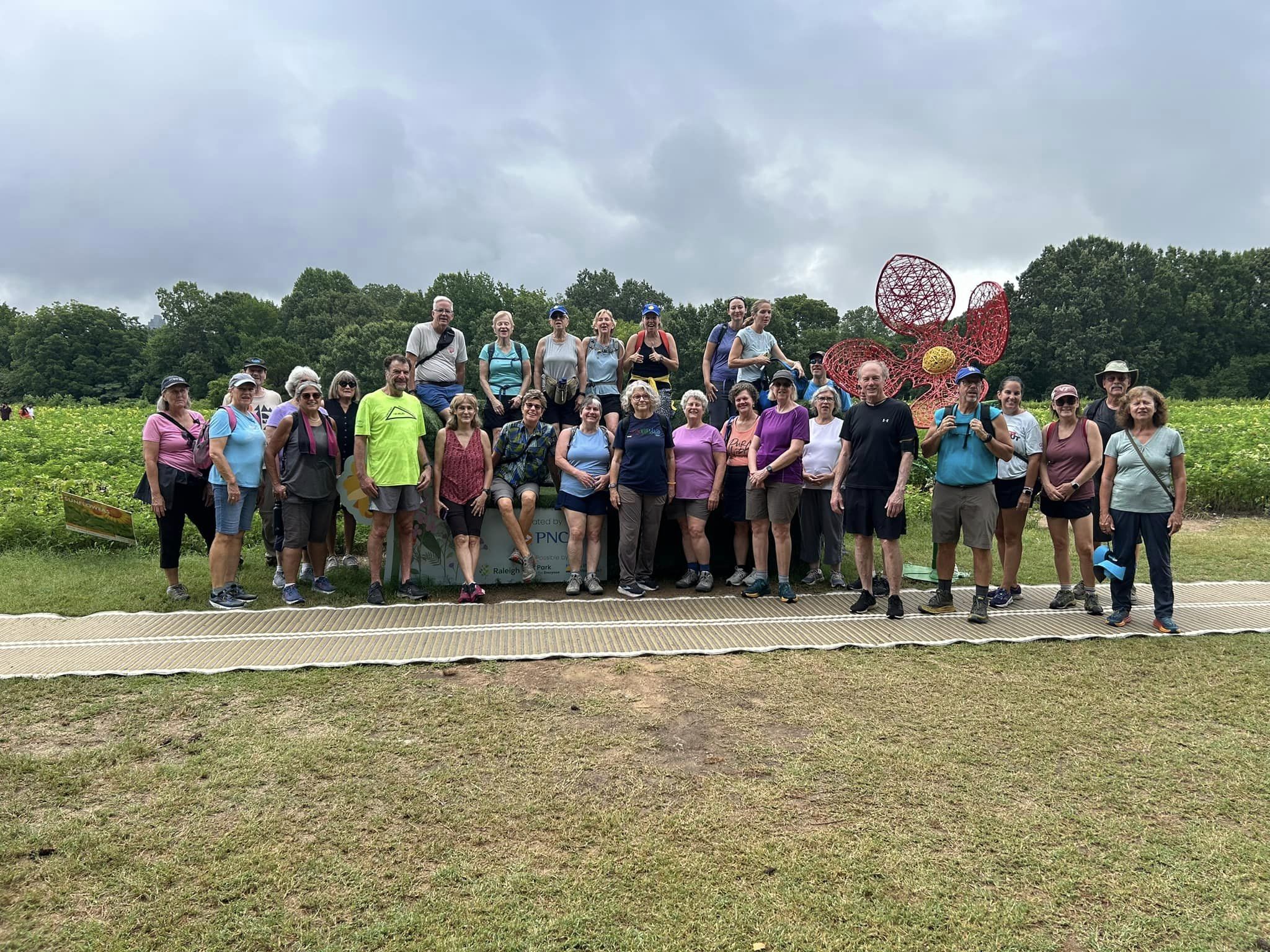 Pilgrims and Patients: Walking a Common Path | Connie Rosser Riddle